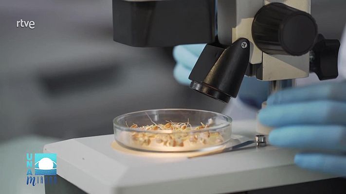 La aventura del Saber - Noticiero Científico y Cultural Iberoamericano