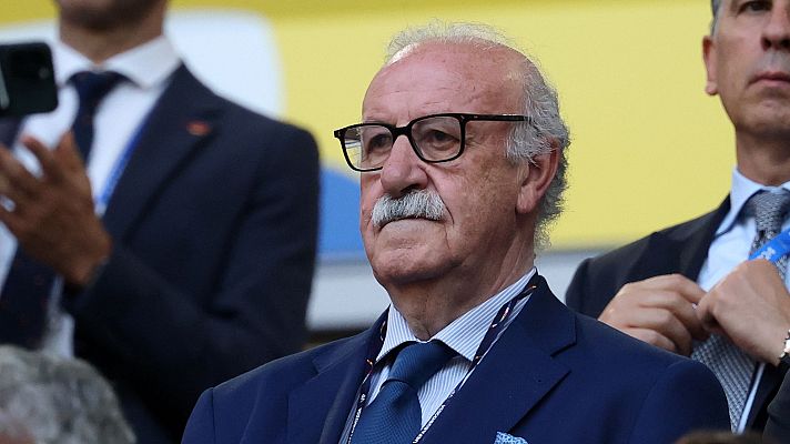 Telediario 1 - Del Bosque, en su estreno como máximo representante del fútbol español: "Hay que normalizar la situación de la RFEF"