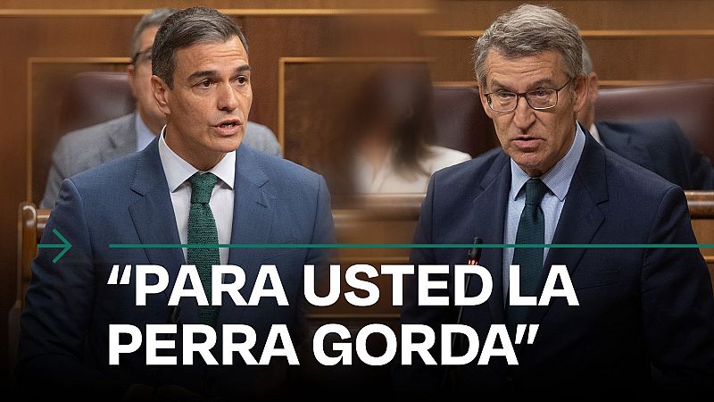 Sánchez en el cara a cara con Feijóo en el Congreso: "Para usted la perra gorda" - Modo Digital | Ver