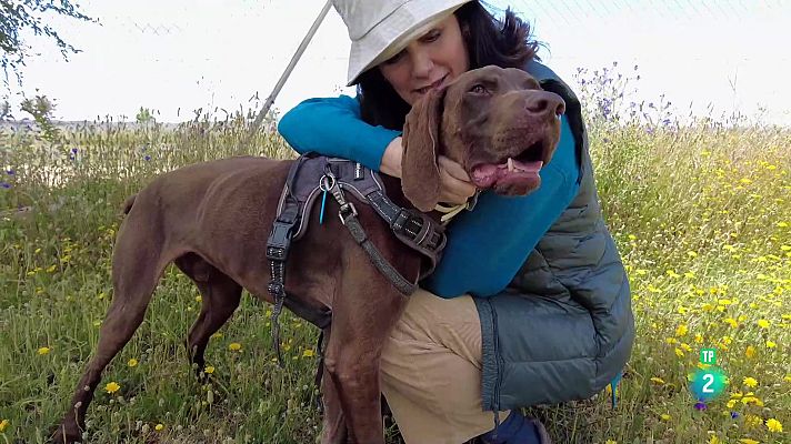 La aventura del Saber - Asociación FEEL