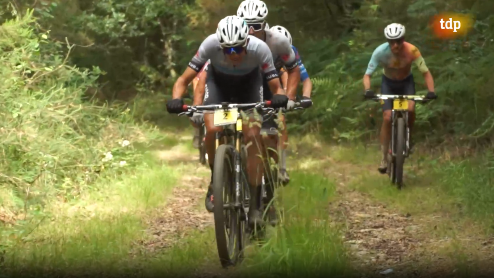 Mountain bike - Campeonato de España BTT Maratón