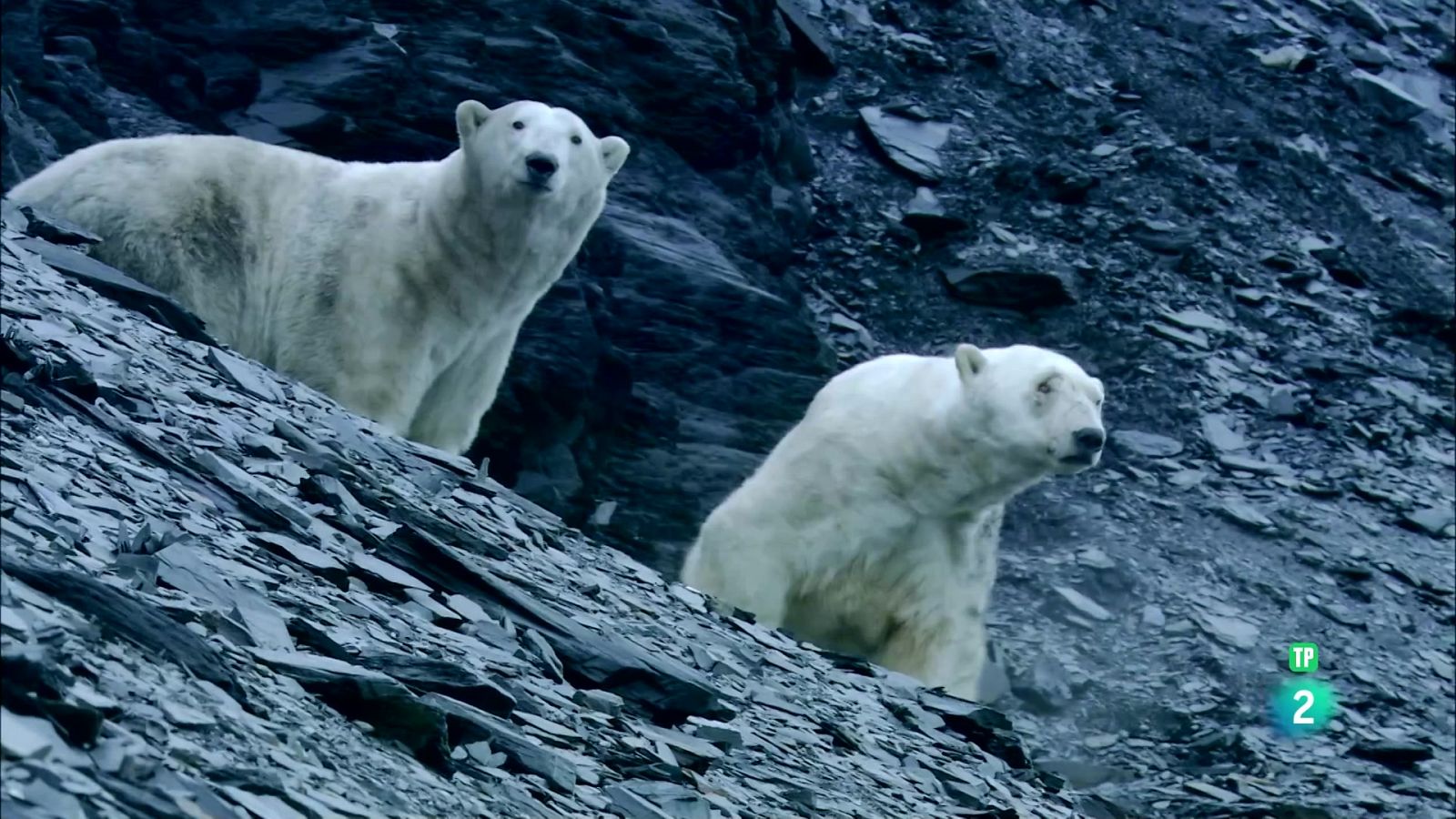 Grans Documentals - Terra d'ossos - Veure ara