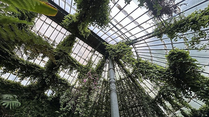 Jardines con historia - Jardín Botánico de Madrid - ver ahora