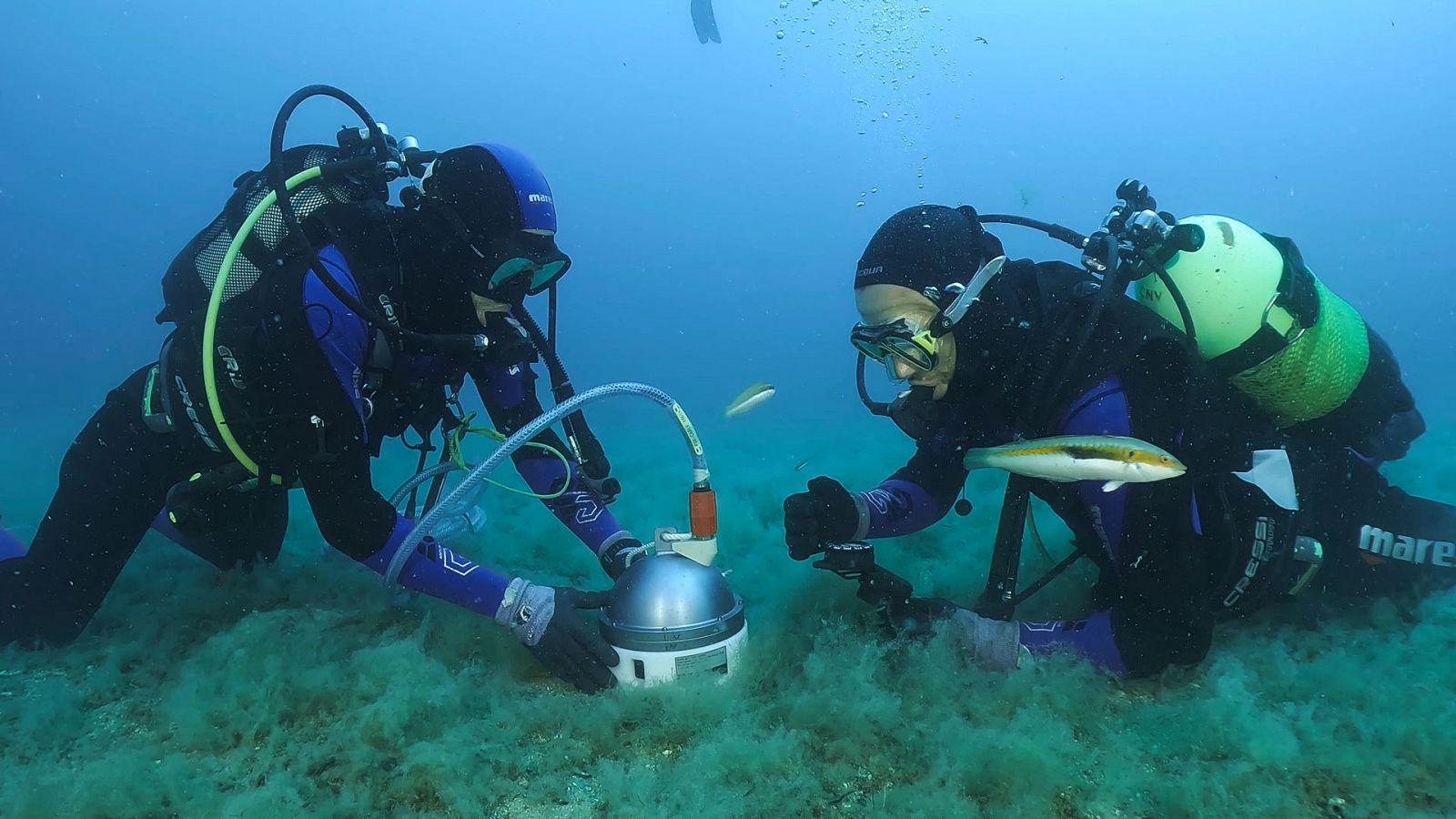 Somos documentales - ¿Preparados para el Tsunami?