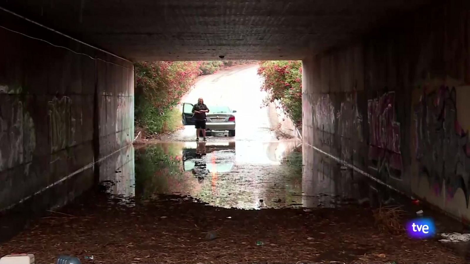 L'Informatiu de la Comunitat Valenciana 2 - 01/07/24 | Ver