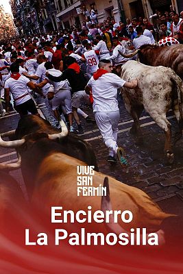 San Fermín - Primer encierro San Fermín 2024: largo y peligroso en la plaza con La Palmosilla