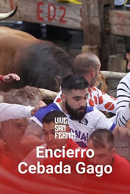 San Fermín - Segundo encierro San Fermín 2024: veloz y tenso con los Cebada Gago