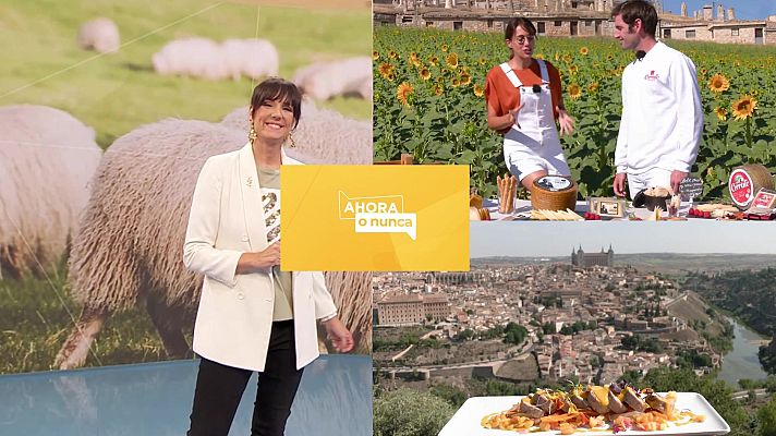 Ahora o nunca - Verano - Programa 5