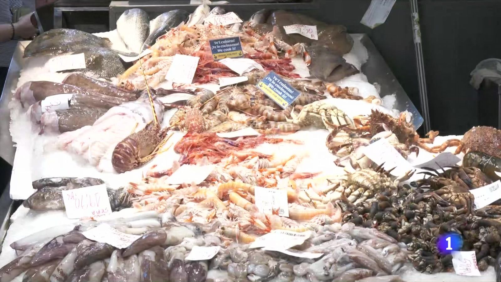 Cau el consum de peix fresc prop d'un 2% el darrer any - L'Informatiu | Veure