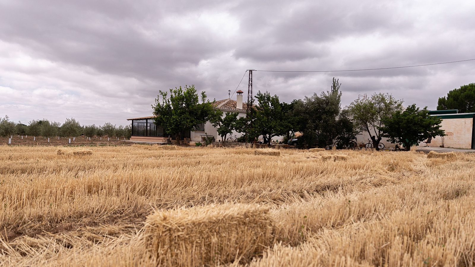 Dos asesinatos machistas en Antequera y Villena