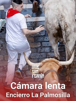 San Fermín - Primer encierro San Fermín 2024 a cámara lenta: el encierro deja seis heridos