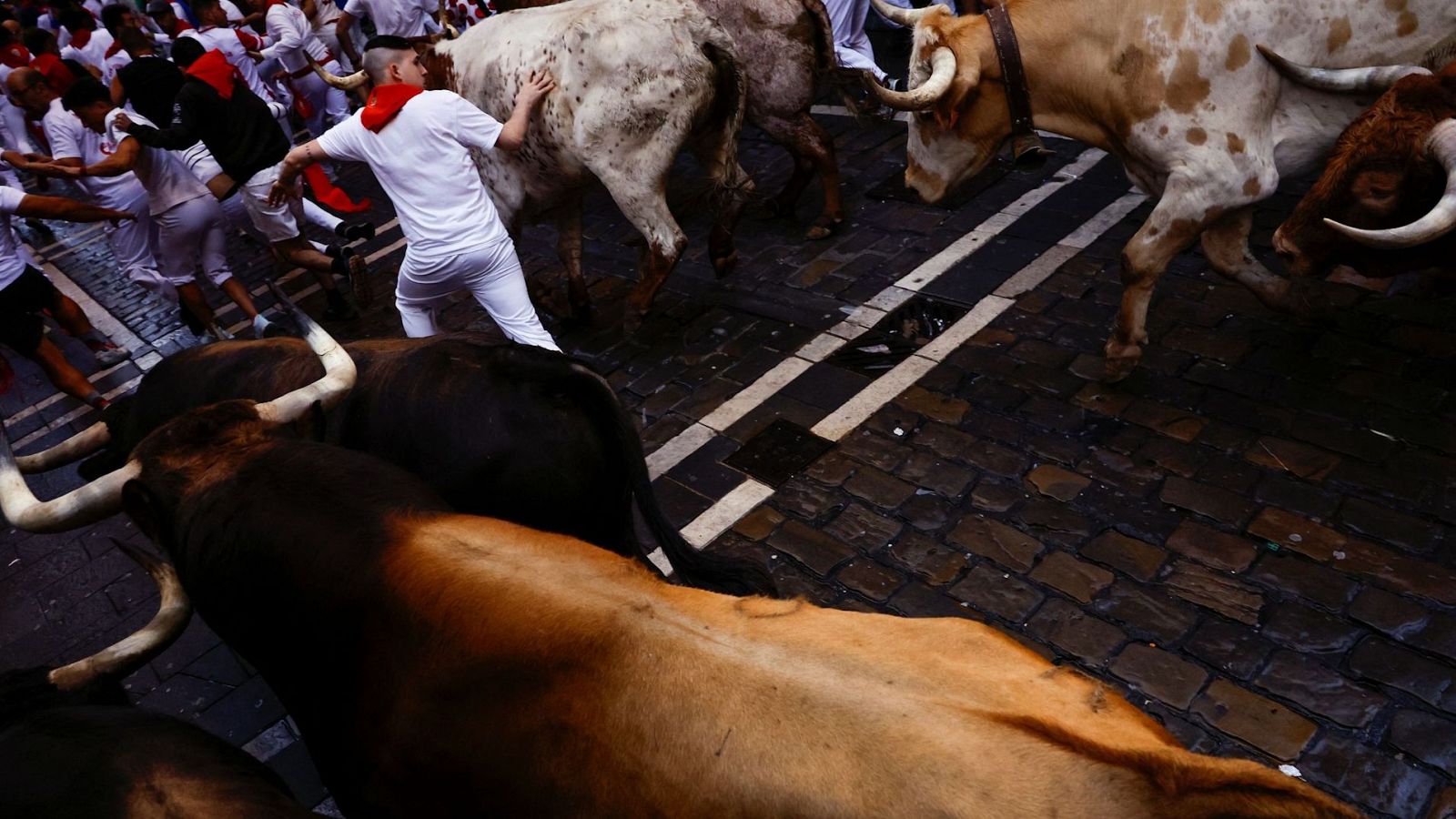 Vive San Fermín 2024 - Primer encierro