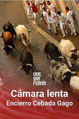 Segundo encierro San Fermín 2024 a cámara lenta