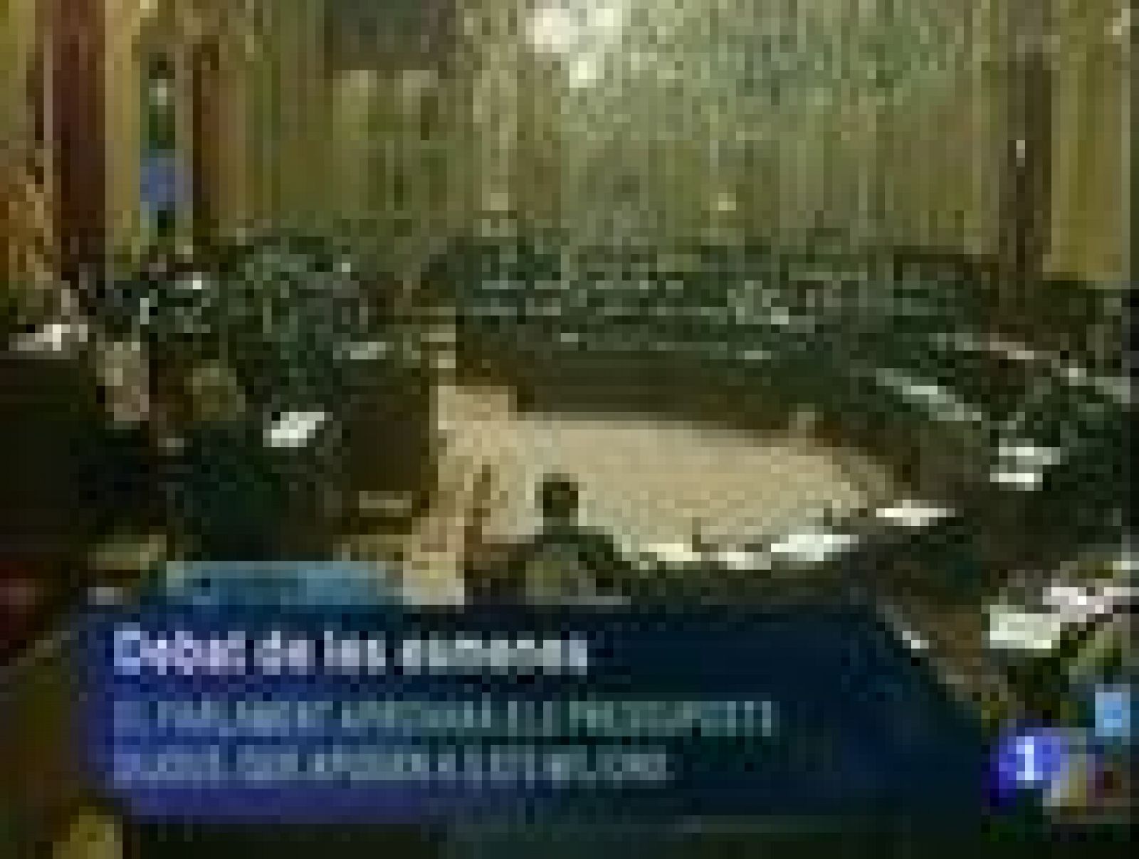 Informatiu Balear en 2' - 18/12/12 | Ver