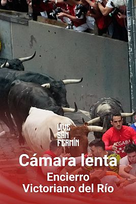 San Fermín - Tercer encierro San Fermín 2024 a cámara lenta
