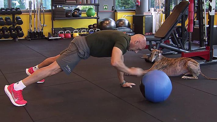 Saber vivir - Ejercicios para mejorar tu salud física de David Navarro