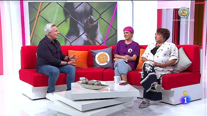 Cerca de ti - Cerca de ti - 08/07/2024