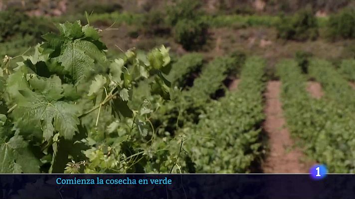 Informativo Telerioja - Telerioja en 2' - 08/07/24