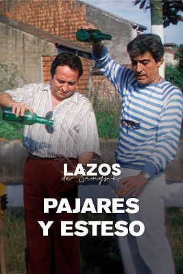 Pajares y Esteso