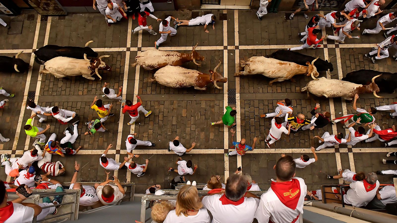 Vive San Fermín 2024 - Tercer encierro