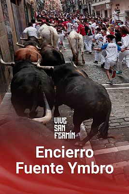 Cuarto encierro de San Fermín 2024: muy veloz con los toros de Fuente Ymbro