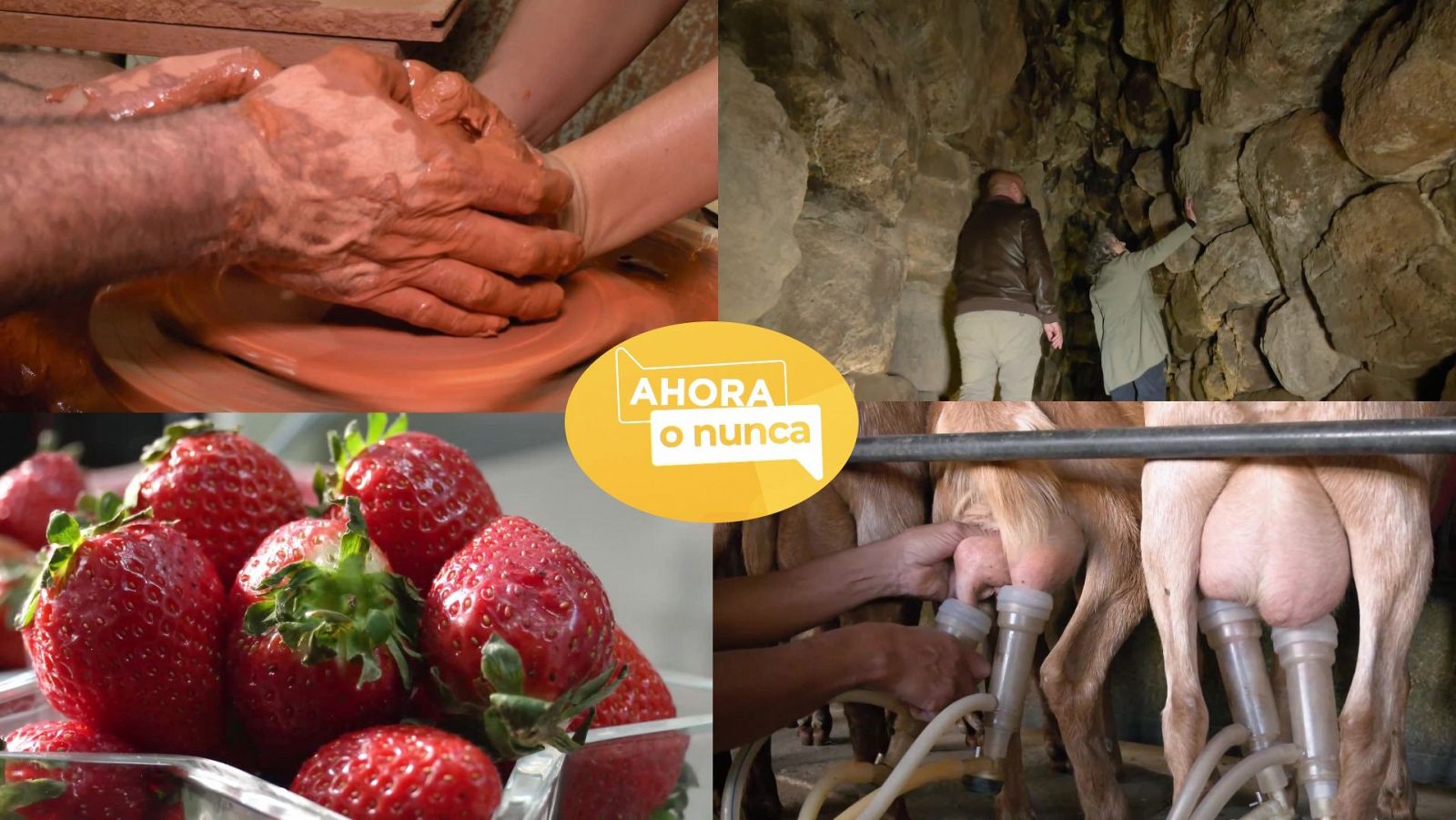 Ahora o nunca - Verano - Programa 7 - ver ahora