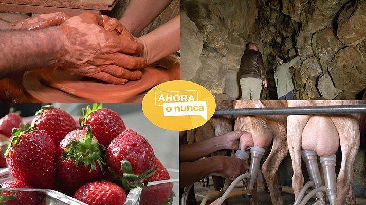 Ahora o nunca - Verano - Programa 7