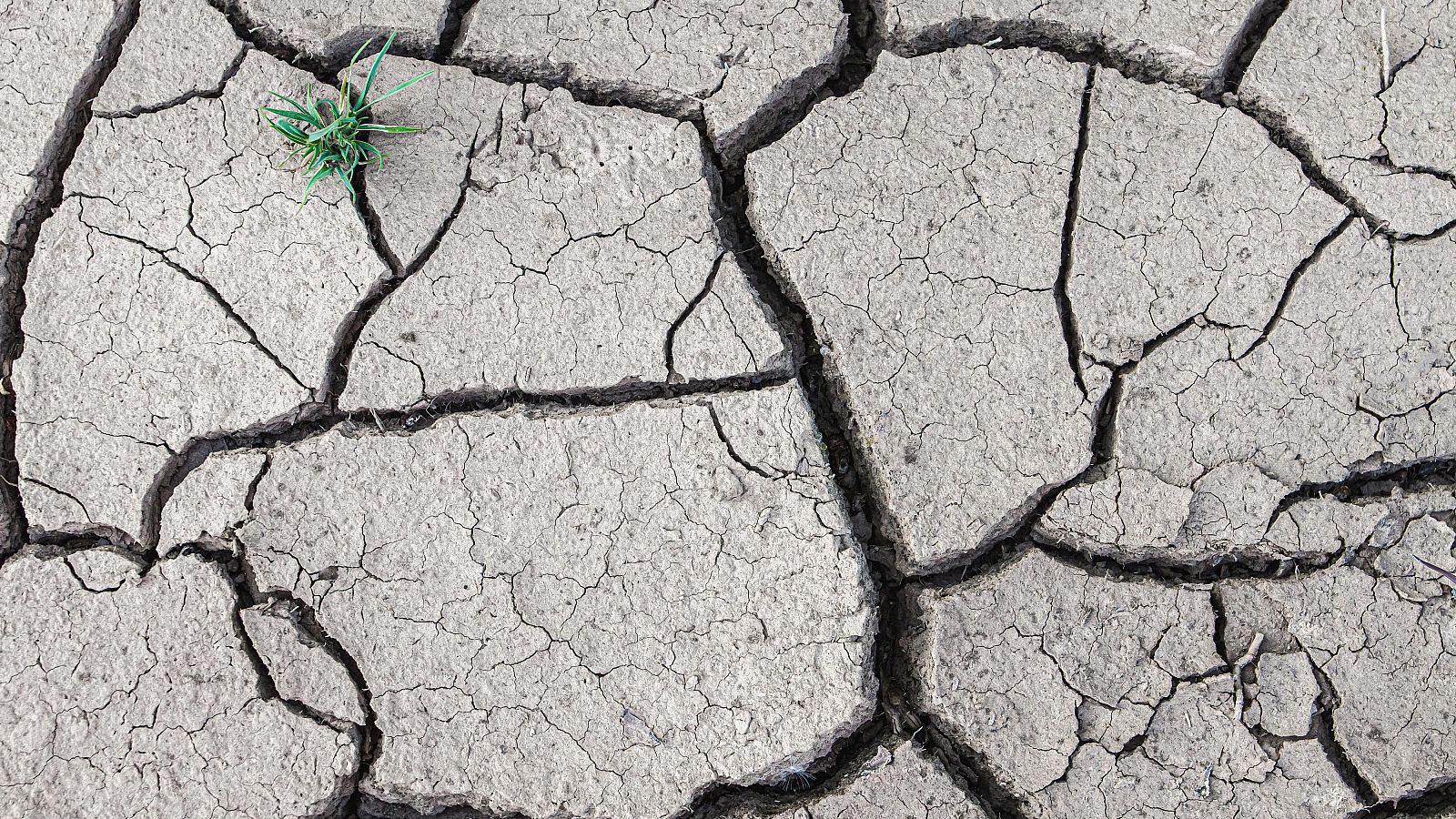 España, candidata perfecta a la desertificación - Telediario 1 | Ver