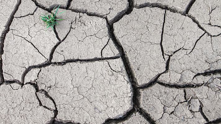 Telediario 1 - España, candidata perfecta a la desertificación