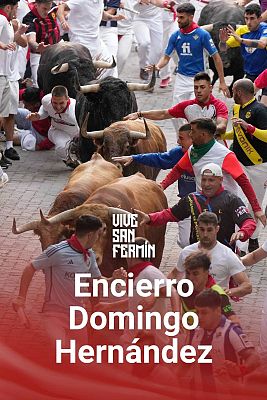 Quinto encierro de San Fermín 2024: accidentado, con el debut de Domingo Hernández