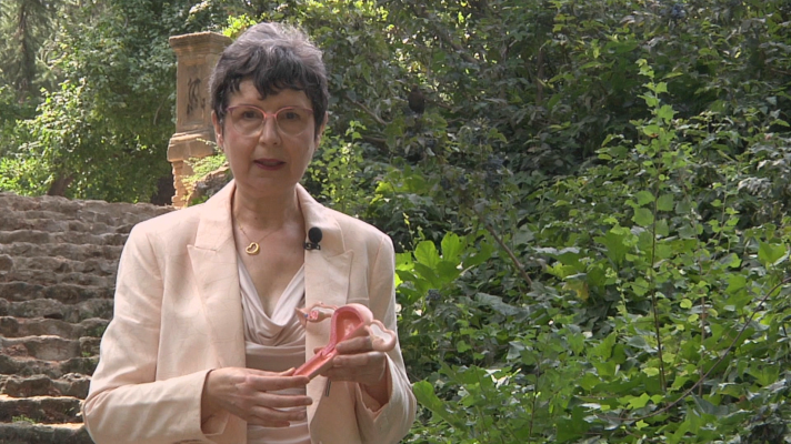 Objetivo igualdad - ¿Qué secuelas físicas y psicológicas puede tener una histerectomía?