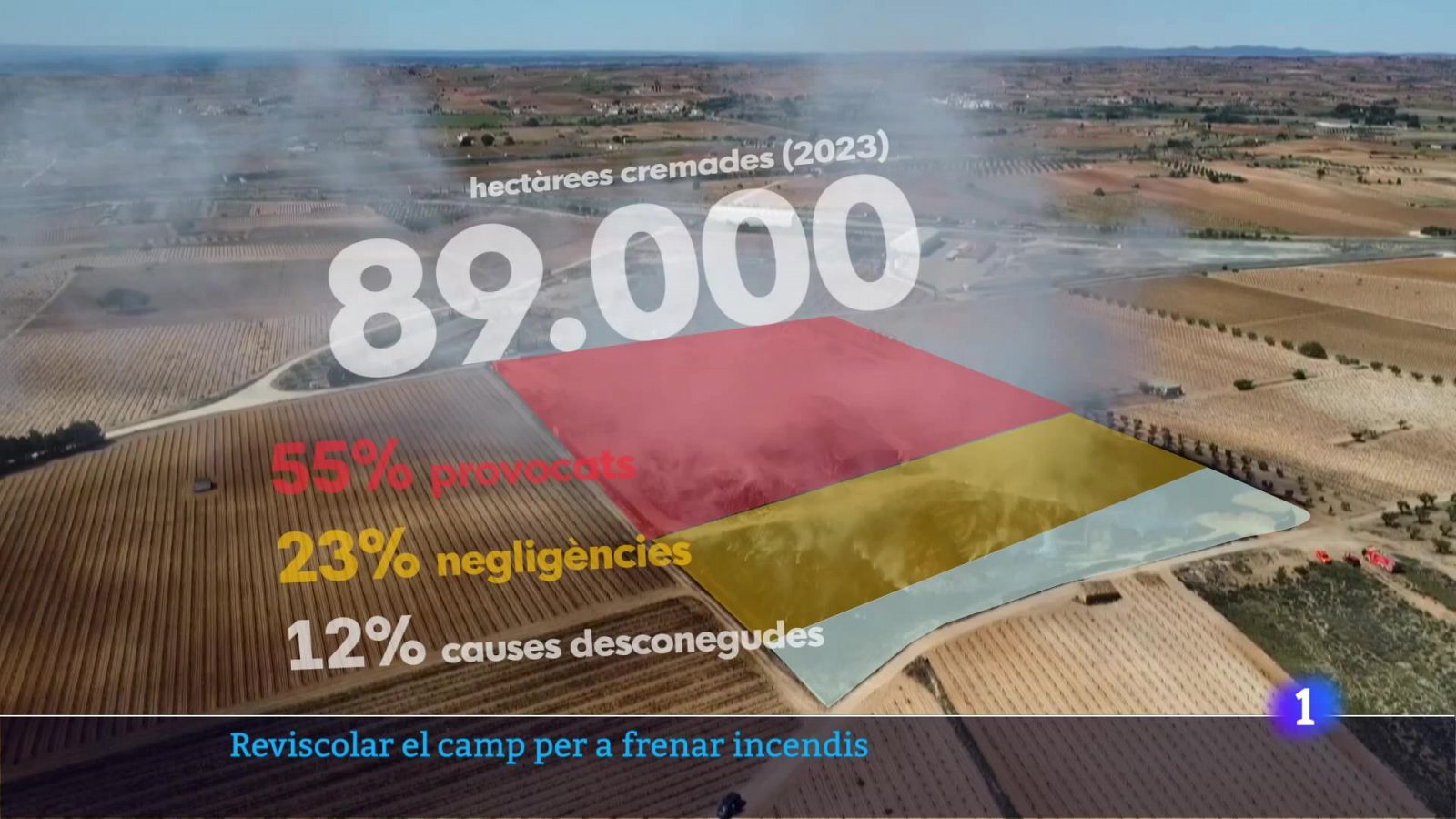 L'Informatiu de la Comunitat Valenciana 1 - 10/07/24 | Ver