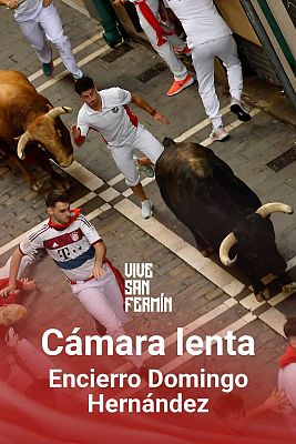 Quinto encierro de San Fermín 2024 a cámara lenta