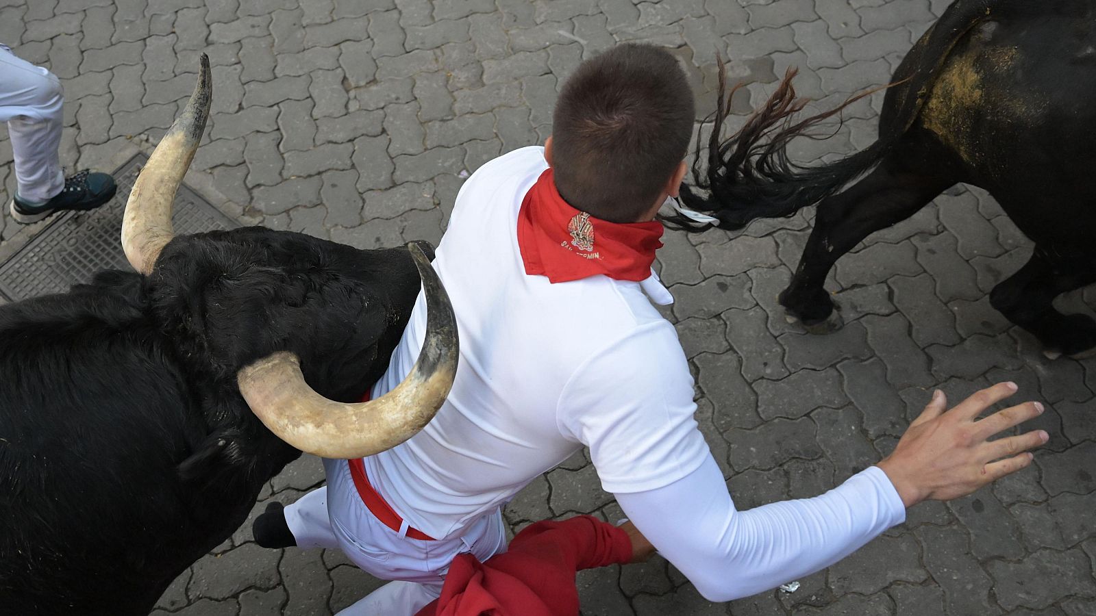 Quinto encierro de San Fermín 2024 a cámara lenta: vertiginoso debut de los toros de Domingo Hernández