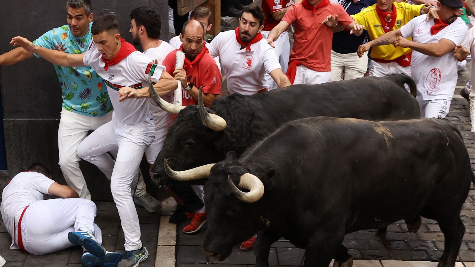 Vive San Fermín 2024 - Quinto encierro