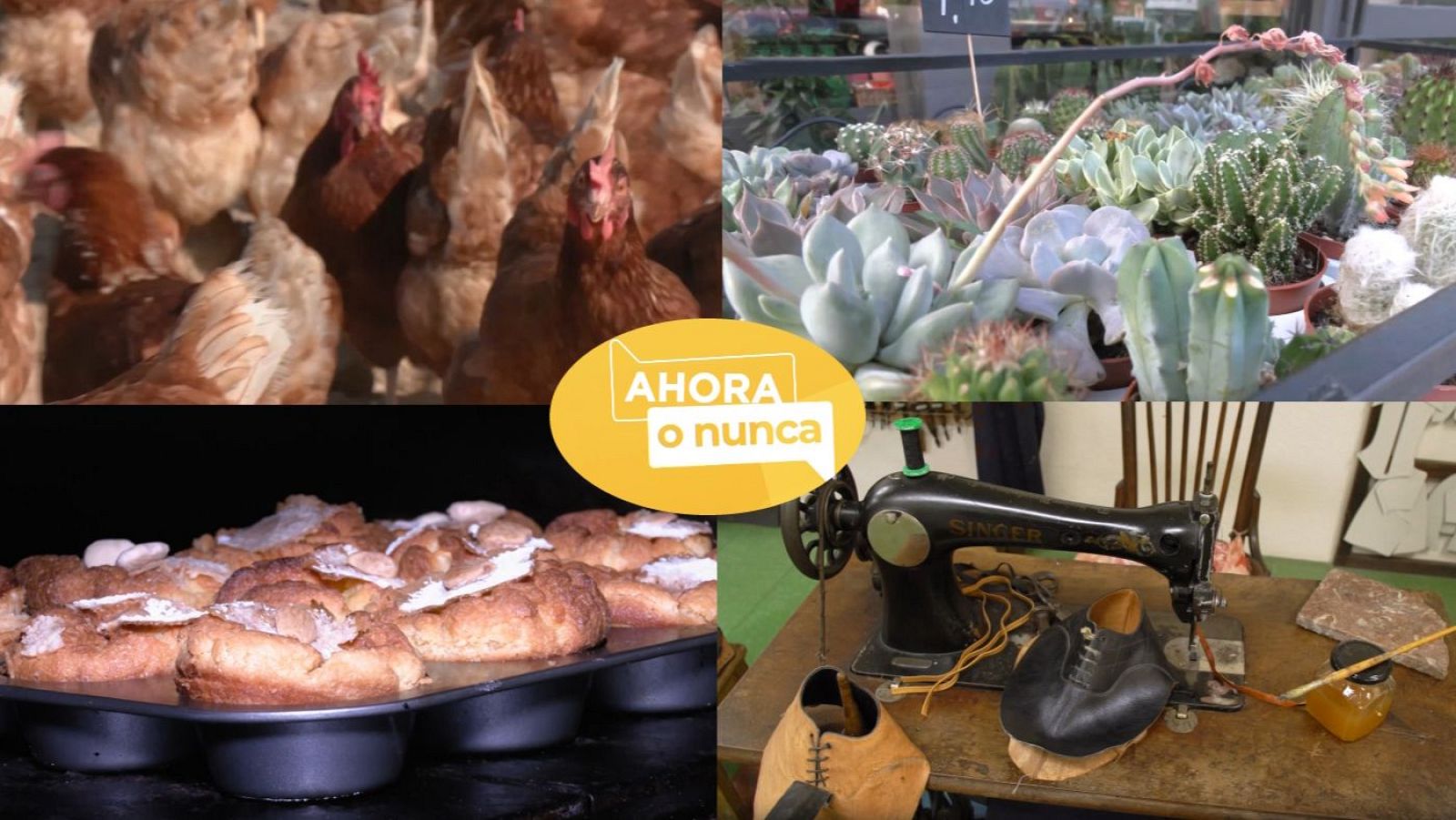 Ahora o nunca - Verano - Programa 9 - ver ahora