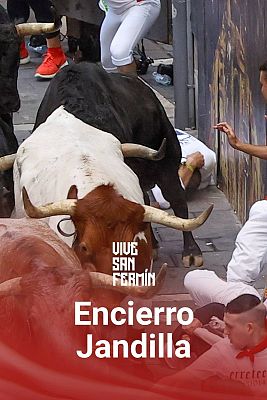 San Fermín 2024: Sexto encierro | Ver vídeo completo