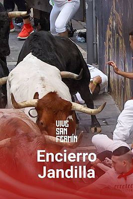 Sexto encierro de San Fermín 2024: vibrante y vistoso con los Jandilla