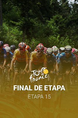 Tour de Francia - Tour 2024 | Pogacar se exhibe en Plateau de Beille y deja el Tour prácticamente visto para sentencia