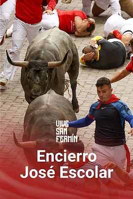 San Fermín - Séptimo encierro San Fermín 2024: peligroso y rápido de los toros de Escolar