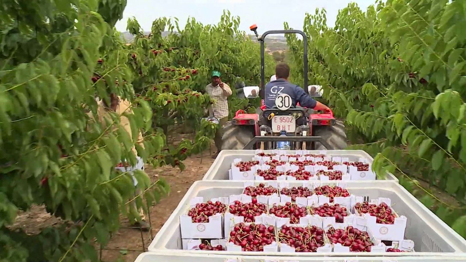 Agrosfera - 13/07/24 - ver ahora