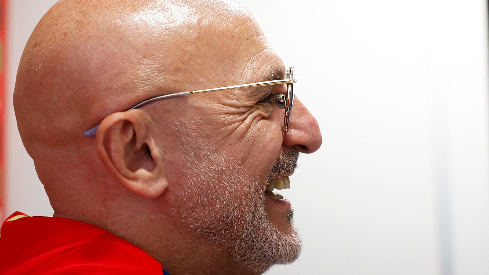 El test de la Eurocopa 2024 | Luis de la Fuente | Ver