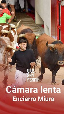 San Fermín - Octavo encierro de San Fermín 2024 a cámara lenta