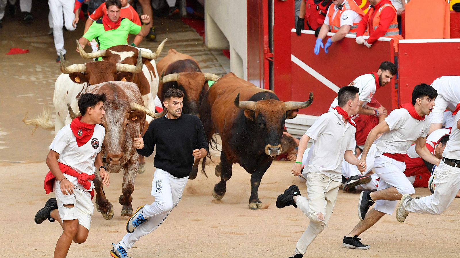 Octavo encierro de San Fermín 2024 a cámara lenta: emocionante y peligroso con los toros de Miura