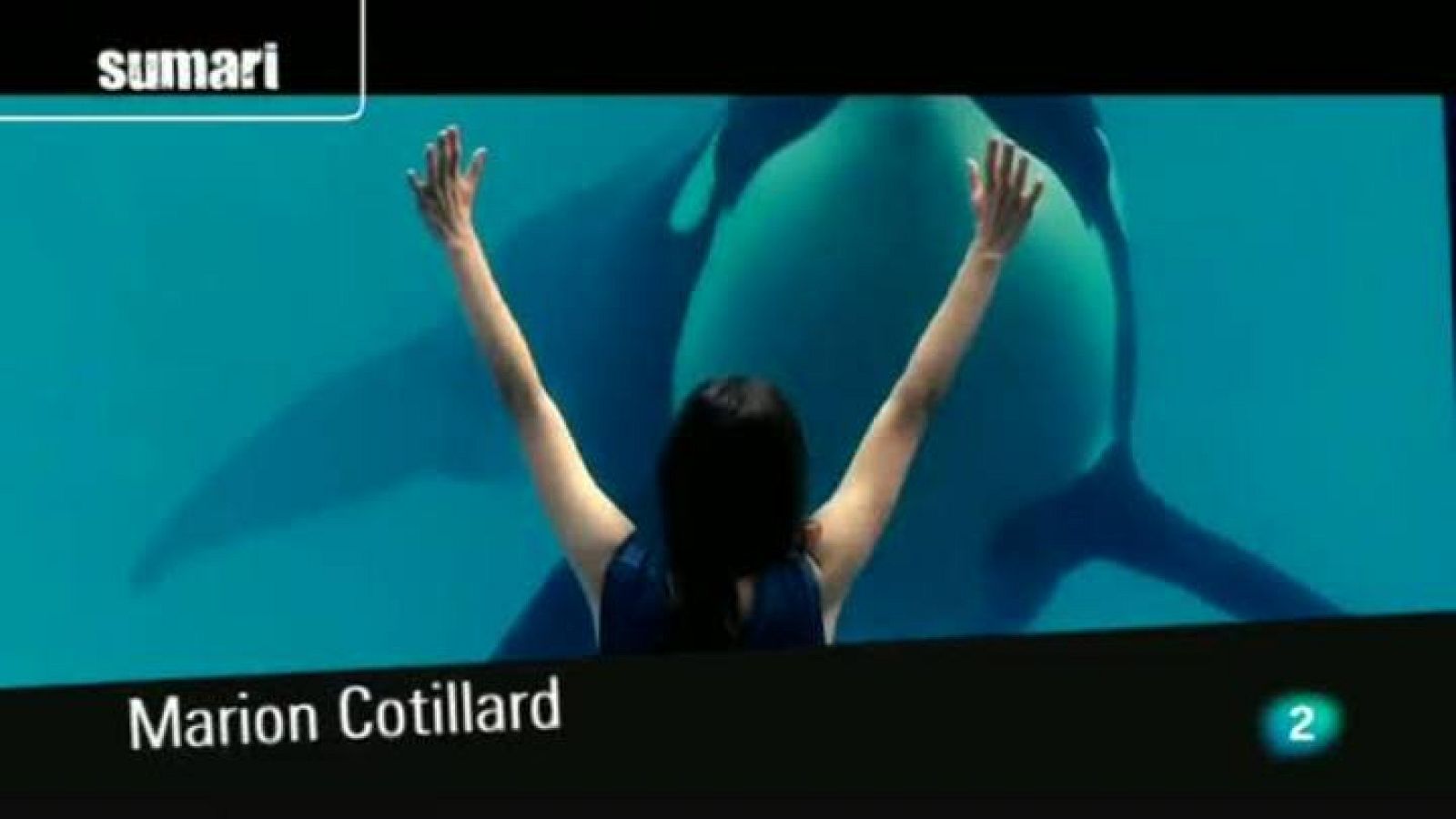 Continuarà - 18/12/2012