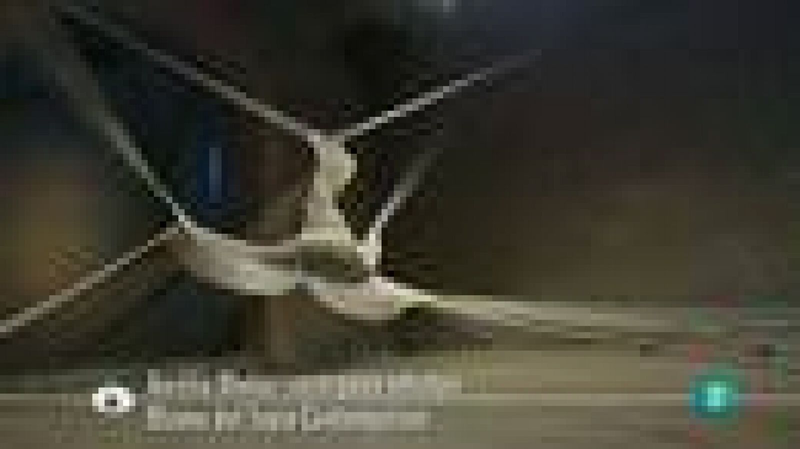 Continuarà - Aurelia Muñoz: Recerques infinites