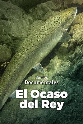 L'ocàs del rei