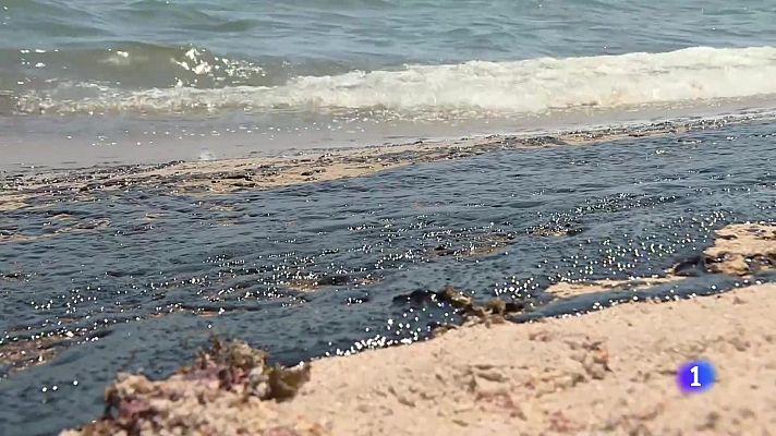 L'informatiu - Comunitat Valenciana - L'Informatiu de la Comunitat Valenciana 1 - 29/02/24