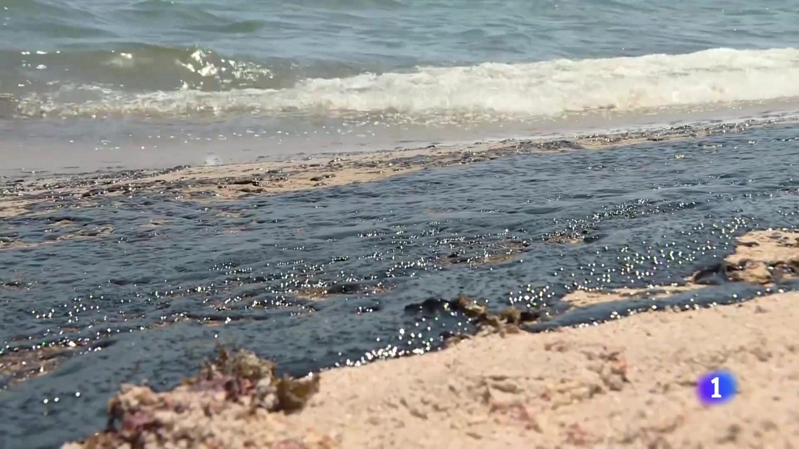 L'Informatiu de la Comunitat Valenciana 1 - 16/07/24 | Ver