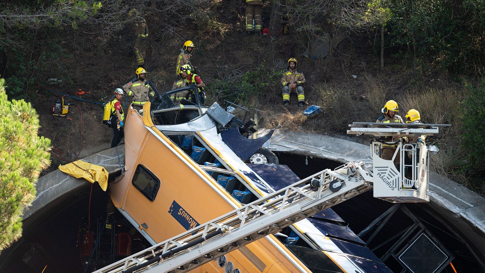 Telediario - 15 horas - 16/07/24 - ver ahora